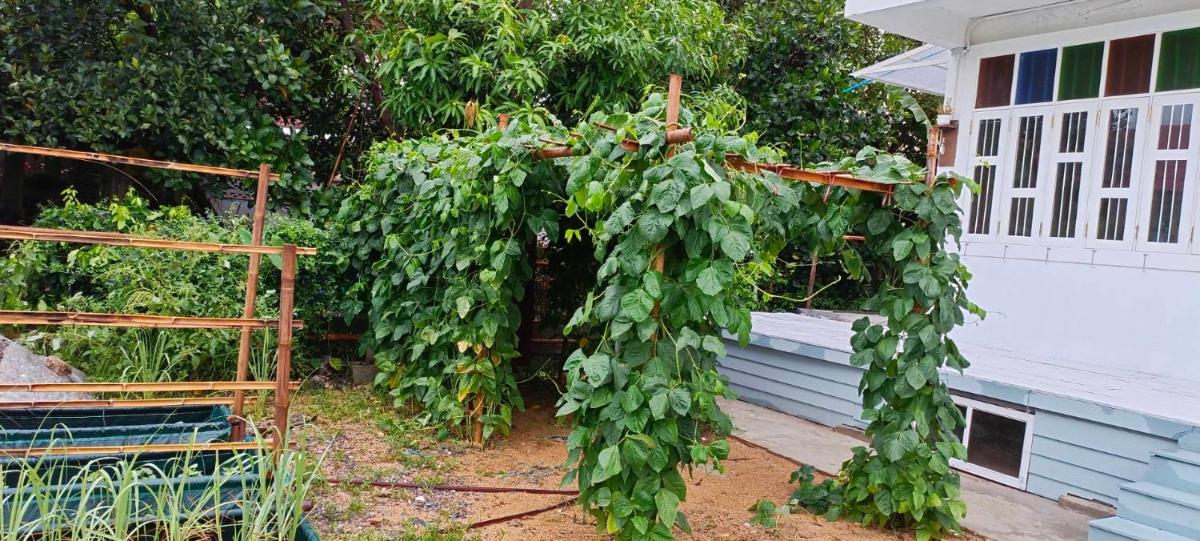 HiddenHomestay cafe - Housity
