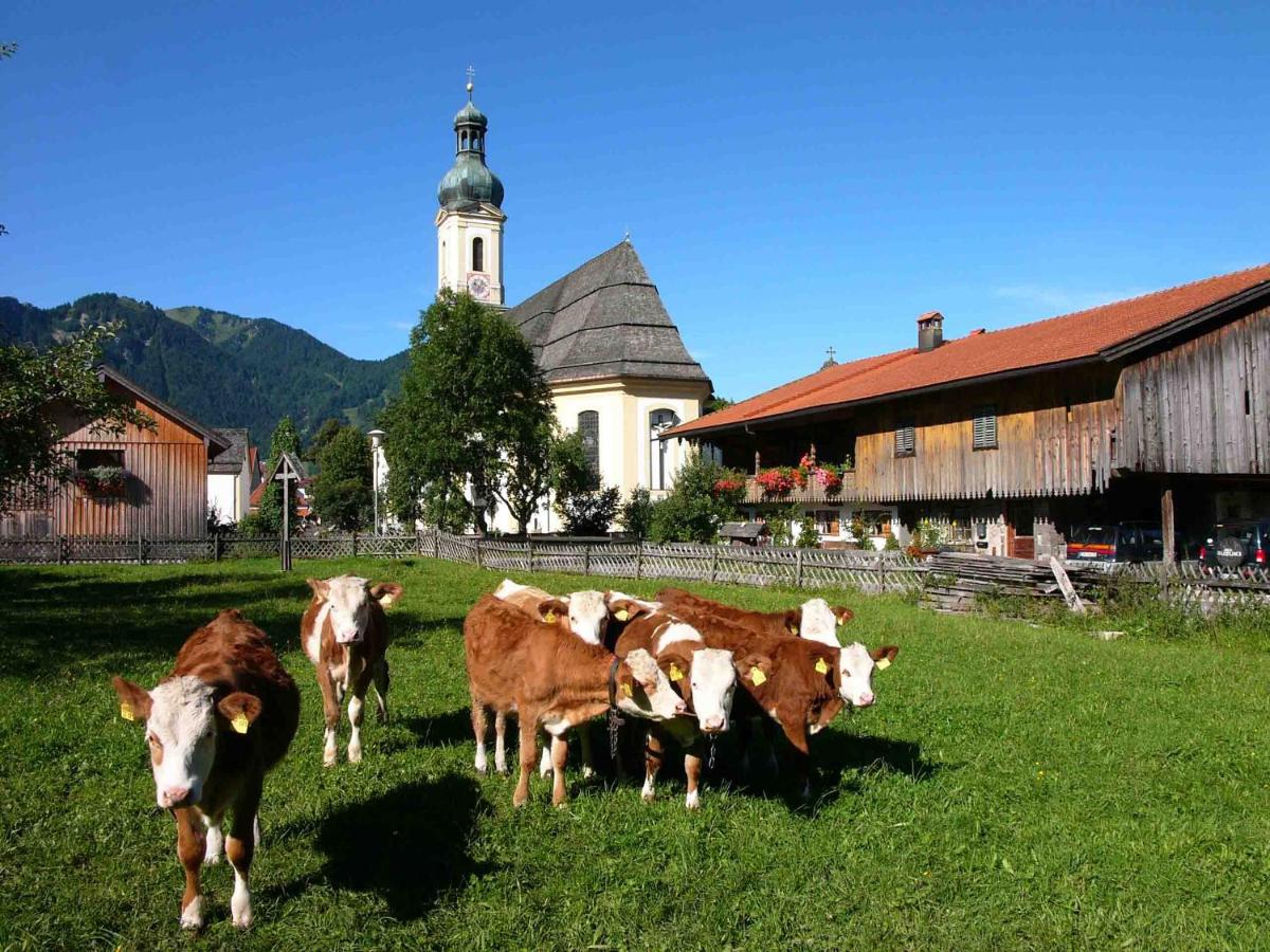 Gästehaus Weissenbauer - Housity