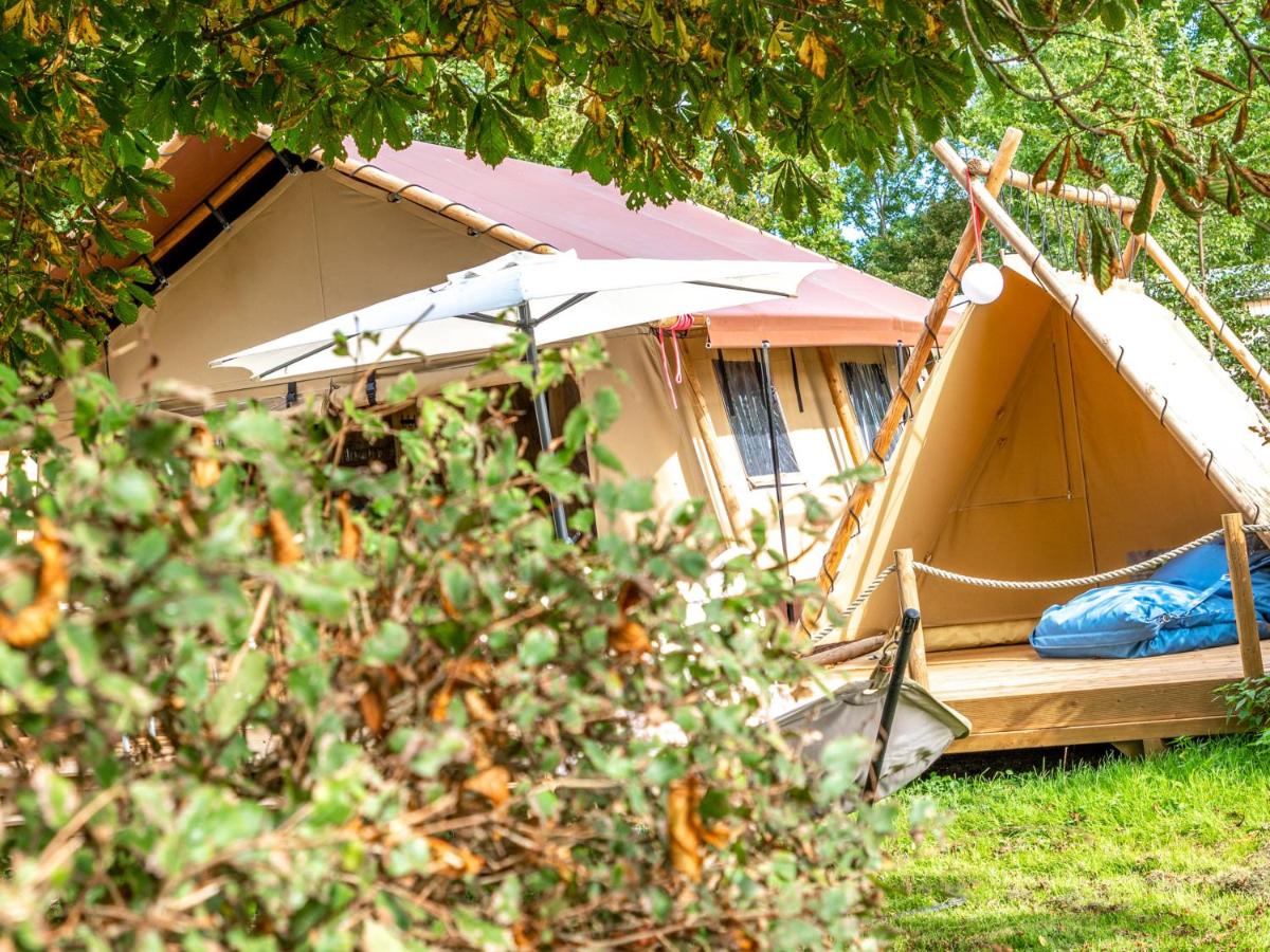 Lodge Holidays - Vrijhaven Heeg - Housity