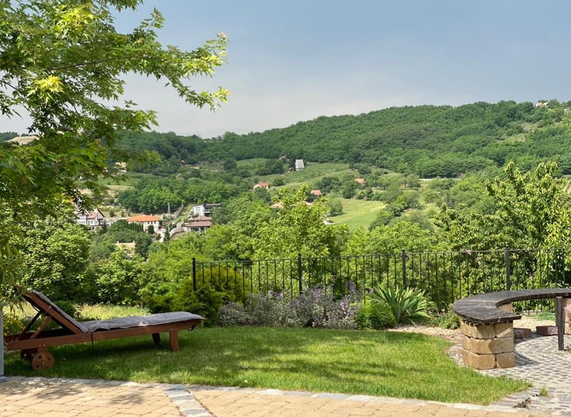 Vass-Villa Vendégház - Housity