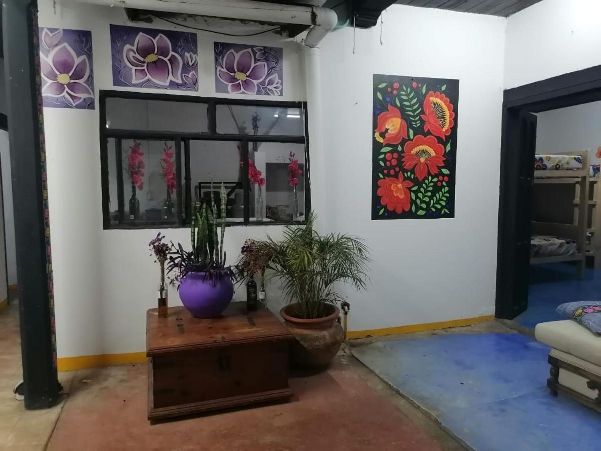 HOSTAL Y HOTEL JARDIN MAGICO - Housity