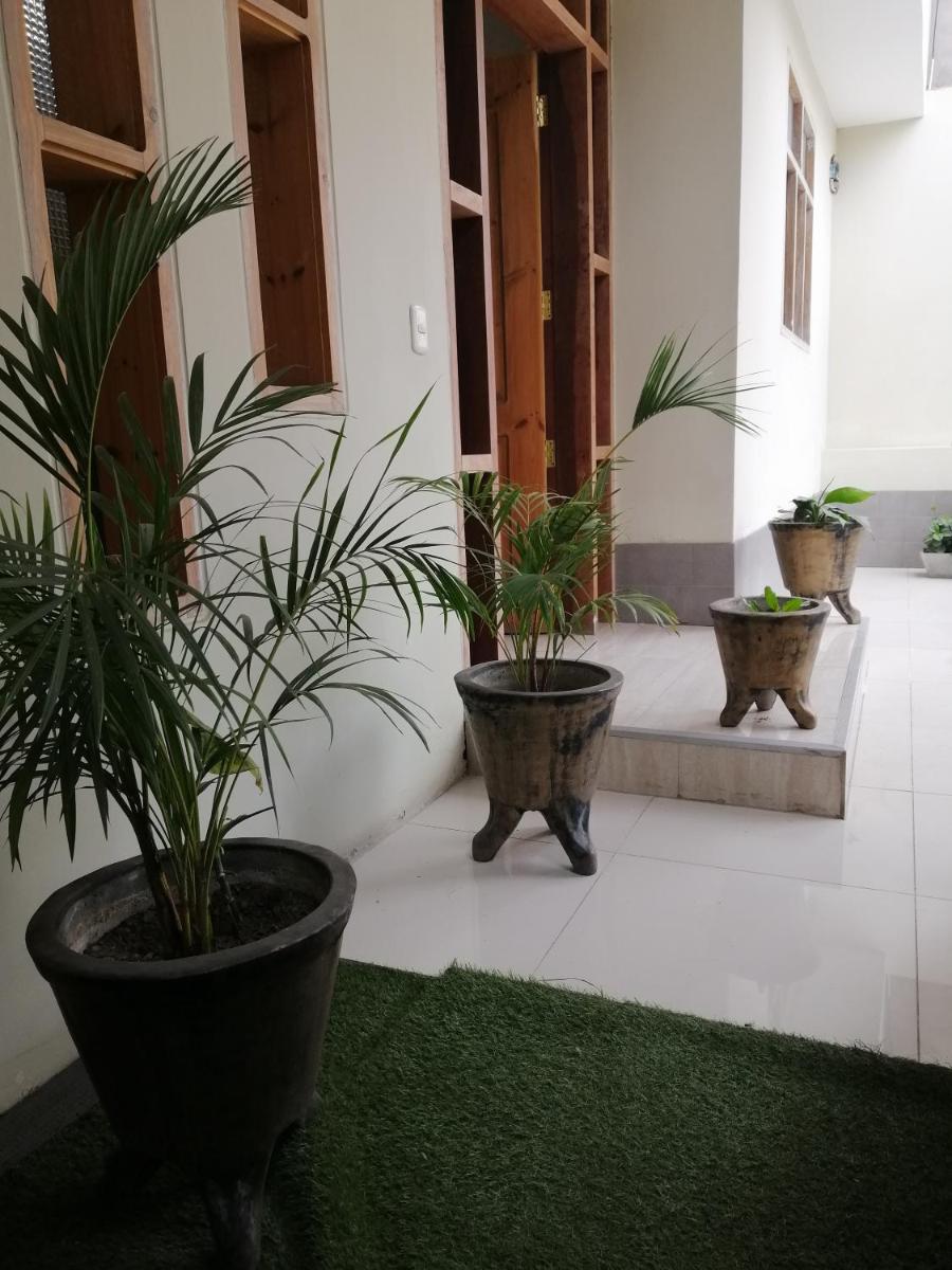 CASA - Mary Ann's House - Housity