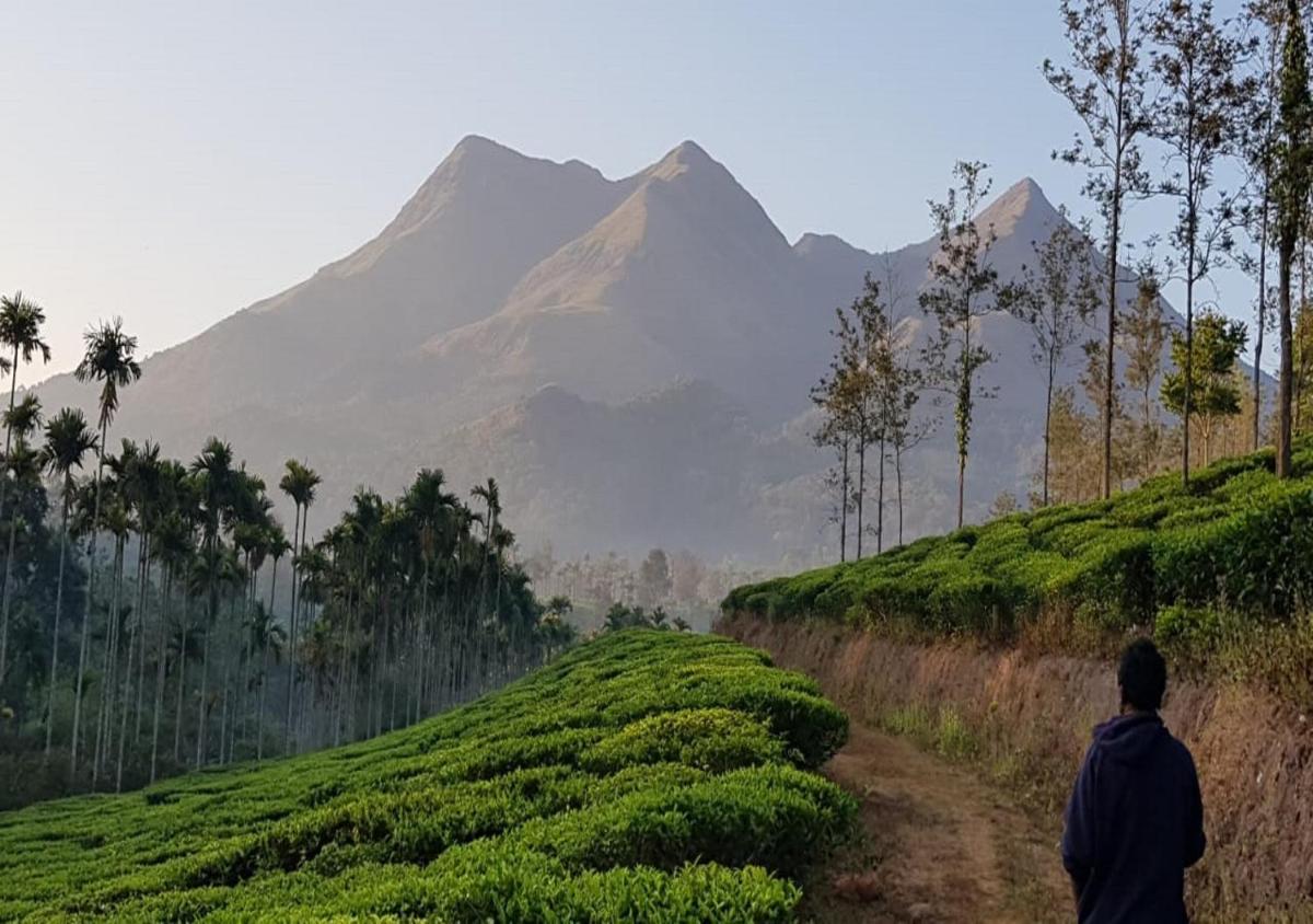 Glad Valley Wayanad By Lexstays-Tea Estate Villa - Housity