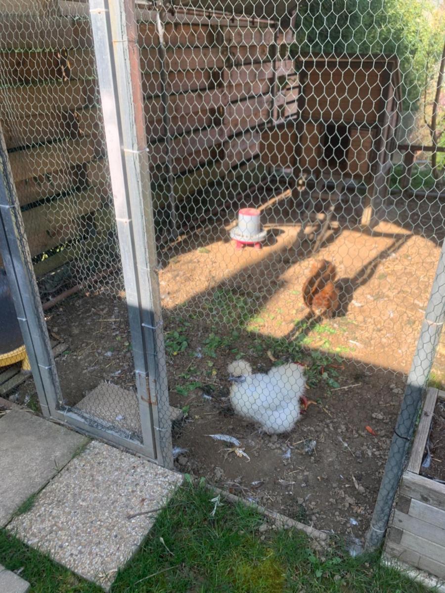 Les Terrasses de Rochetaillée - Housity