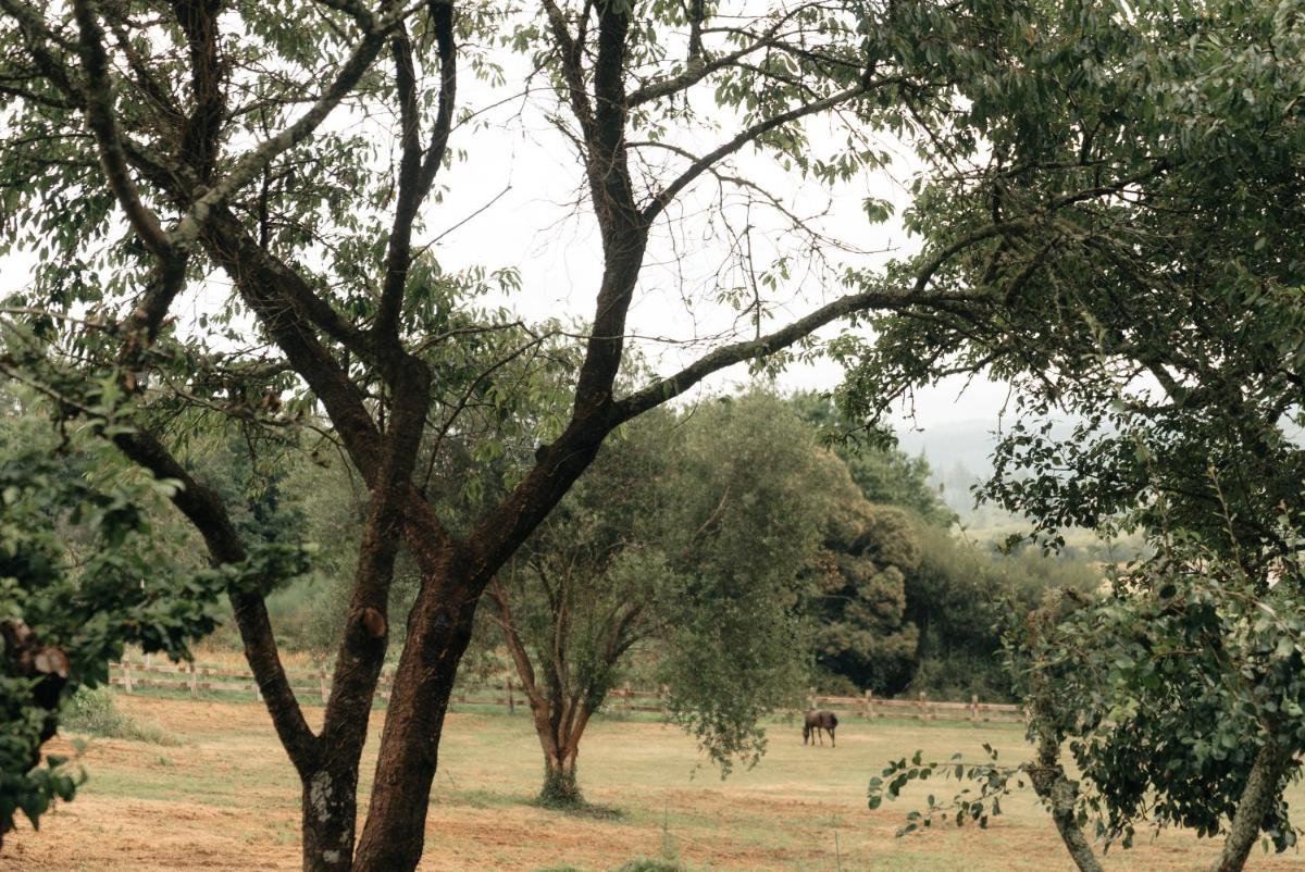 Casa de la Pradera - Housity