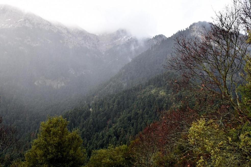 Villa Erika Mountain Escape - Housity