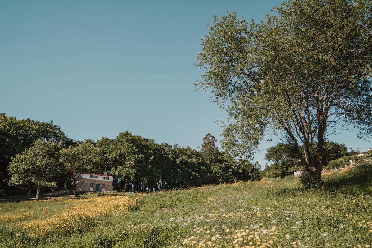 Casa de la Pradera - Housity