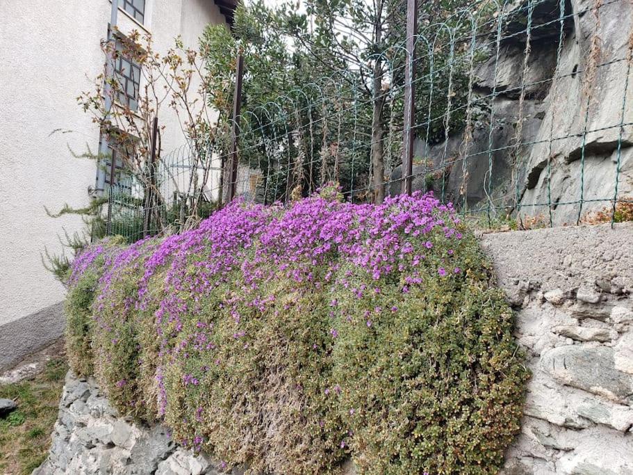 Ormea nel cuore - Housity