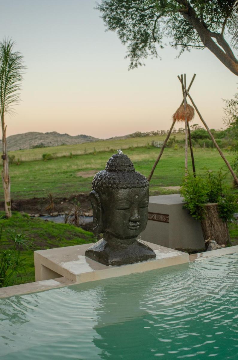 Ginger and Coco - Housity