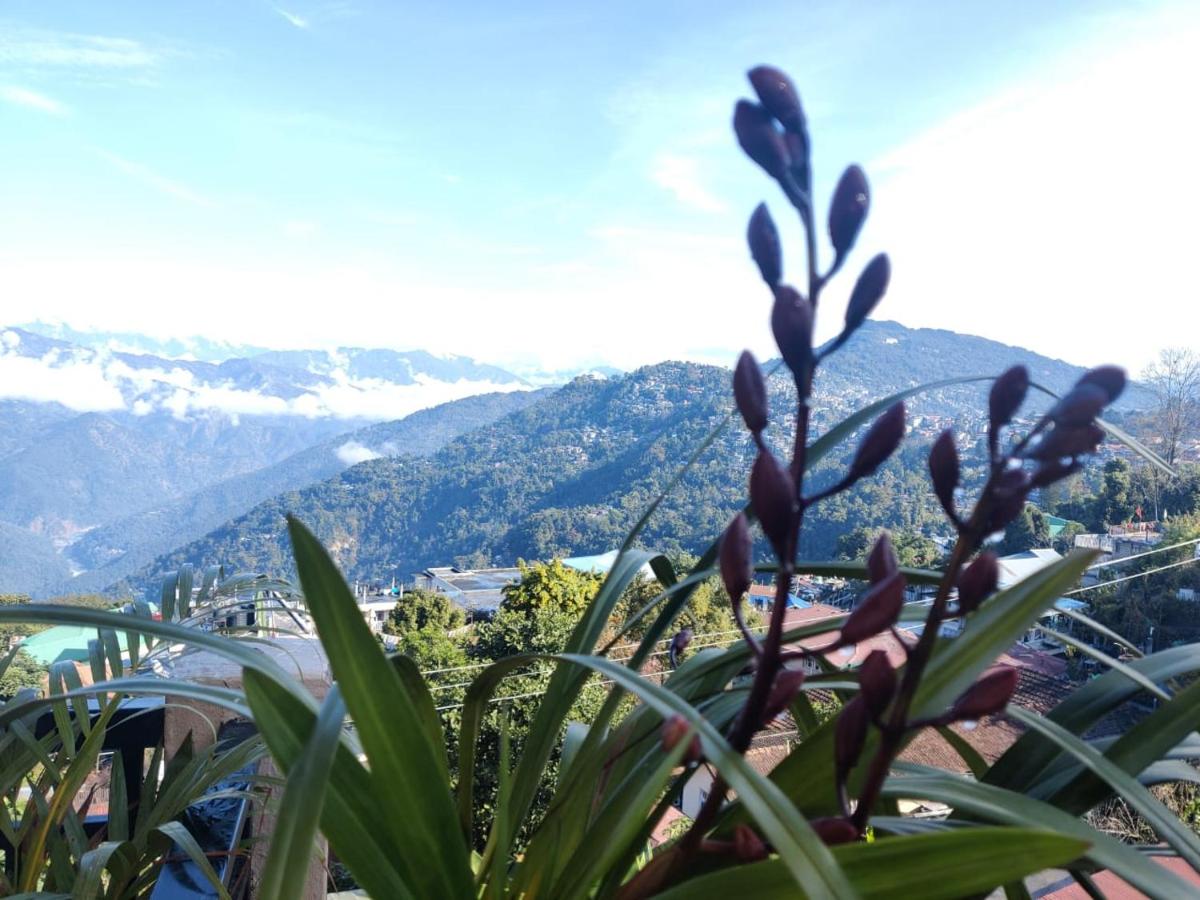 Dream Wood Homestay - Hizvo