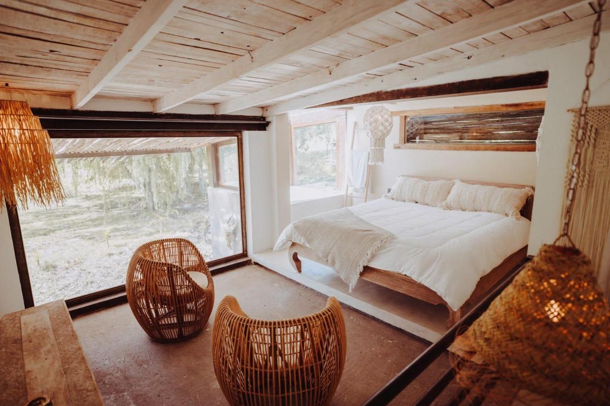 Ginger and Coco - Housity