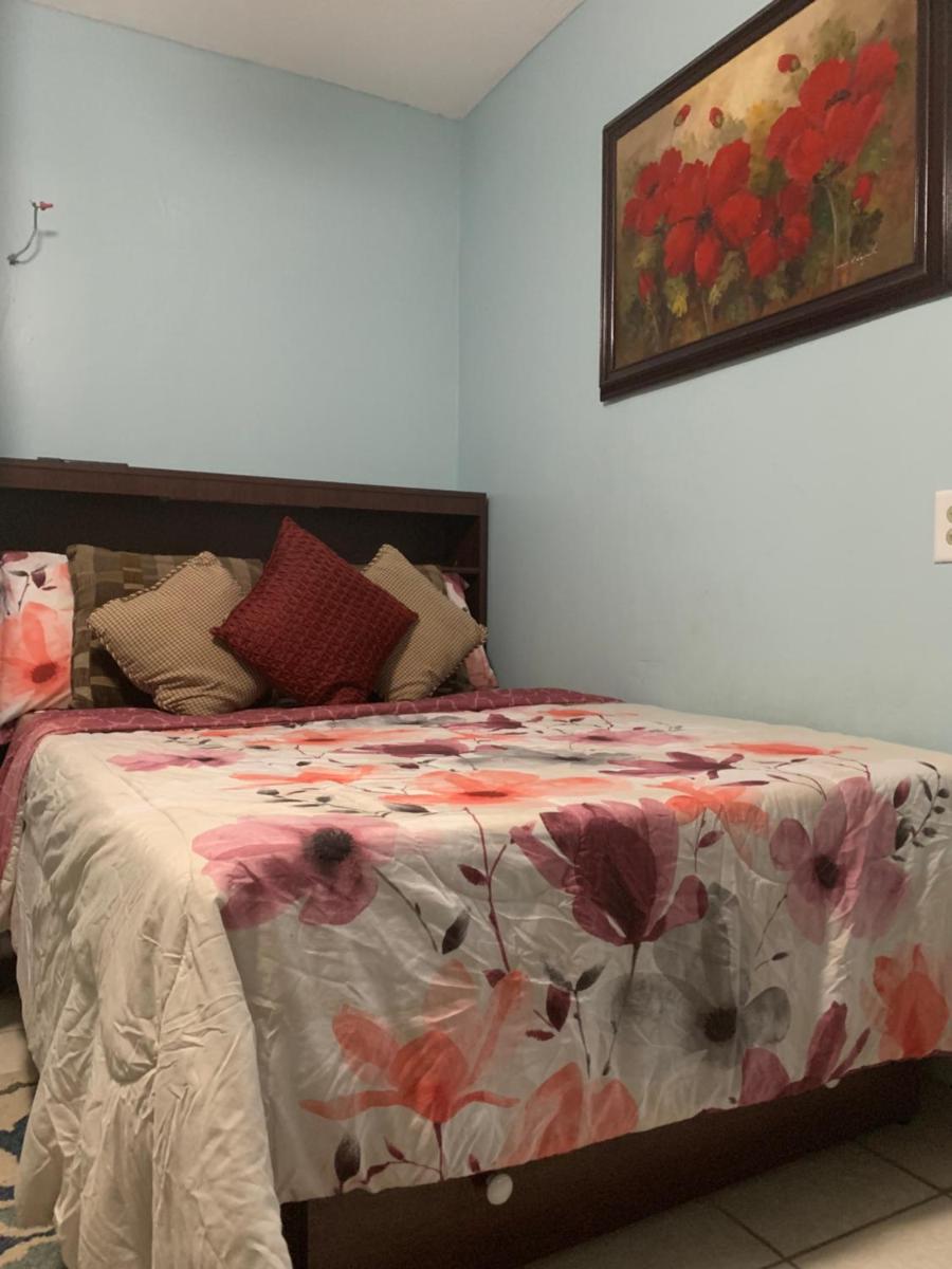 The Insight room is well-appointed - Housity