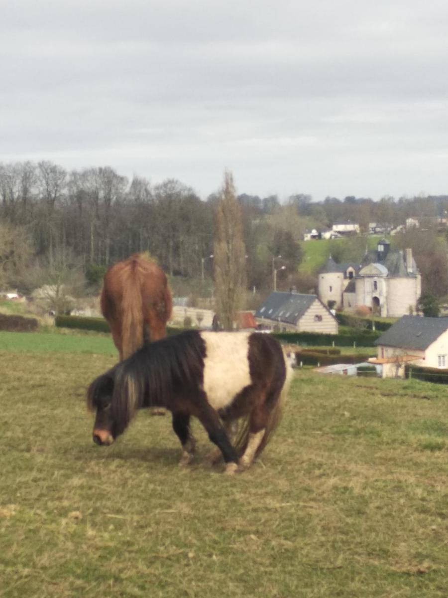 Chez Papito et Mamito - Housity