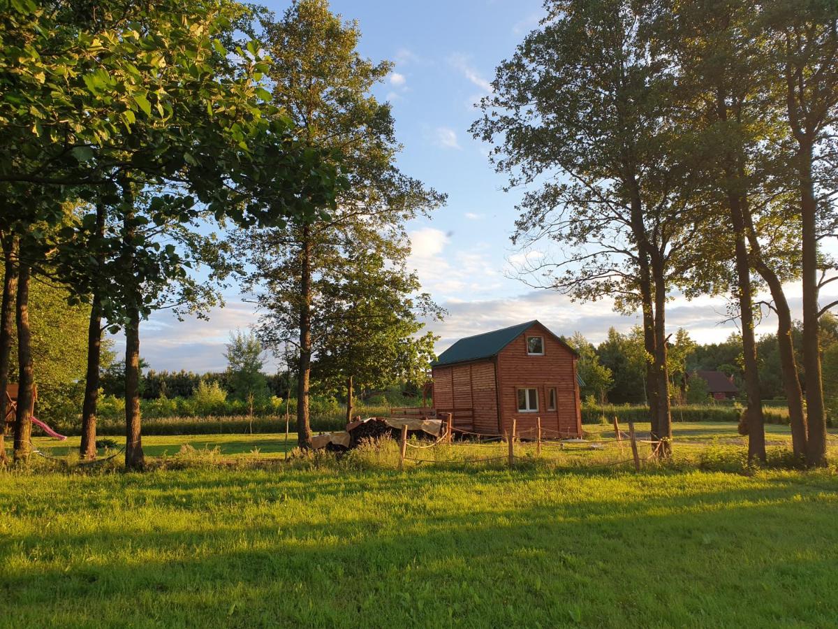 Uroczy domek (+ sauna) w Nowej Jedlance - Housity