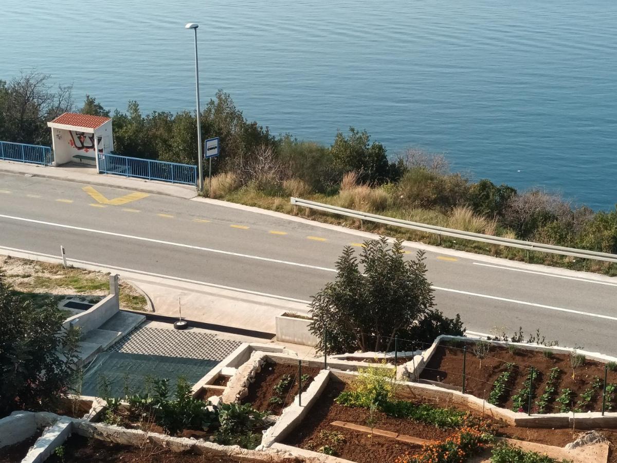 Apartmani NIKA - Housity