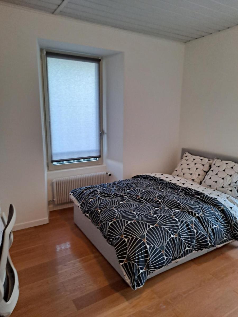 House (10 pers) near Geneva, Palexpo, CERN - Housity