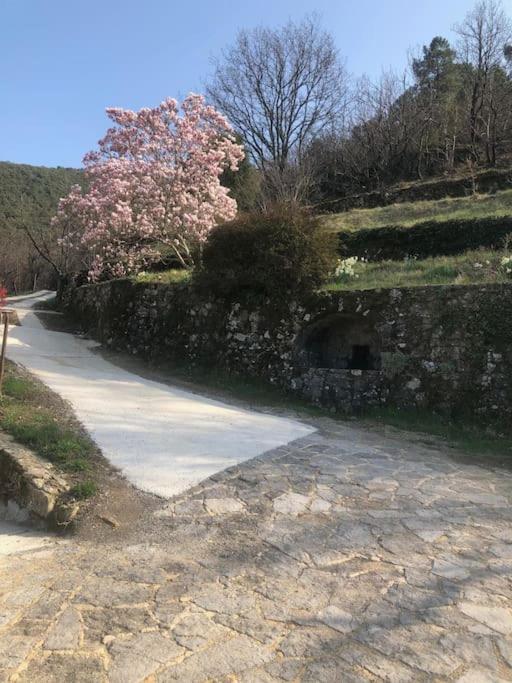 Studio avec terrasse dans mas historique cevenol - Housity
