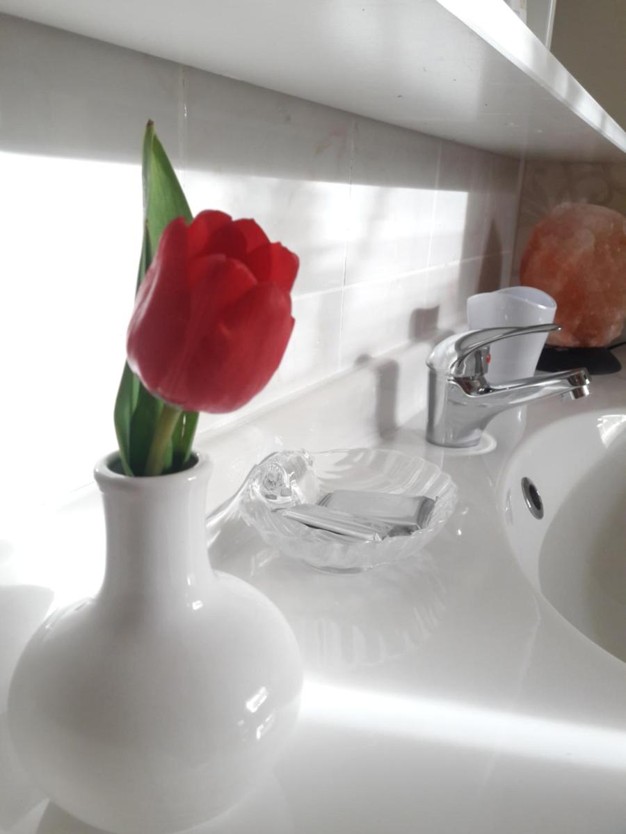 Savinja Family Apartments - Housity