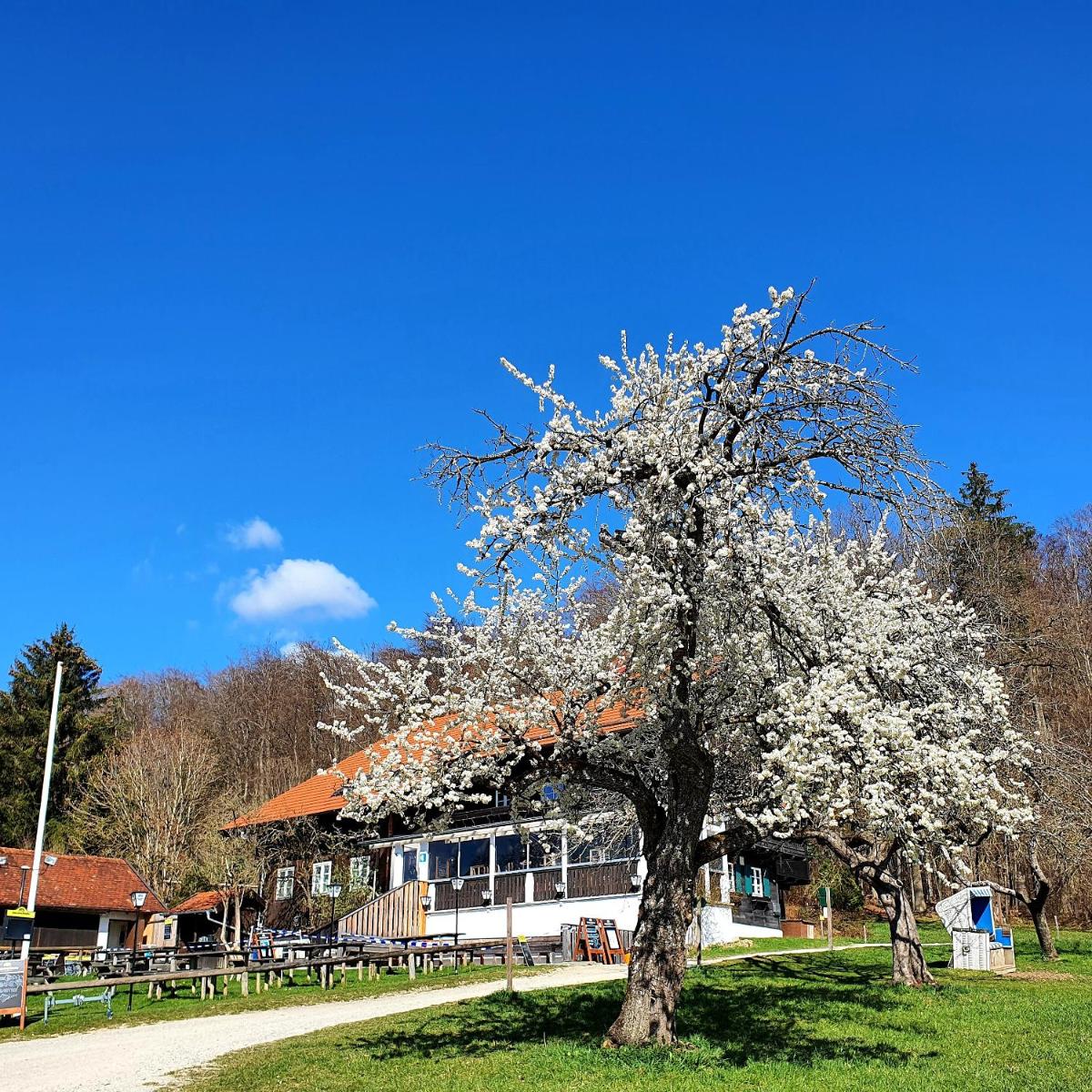 Schatzbergalm Pension - Housity