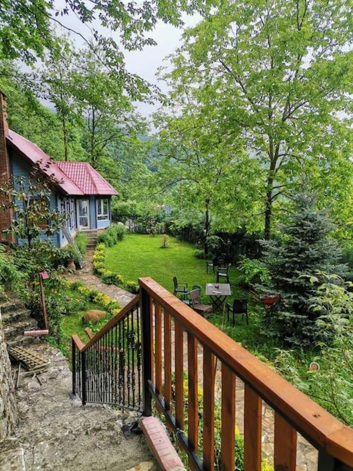 Orman İçinde Mavi Ladin Ağaç Ev - Housity