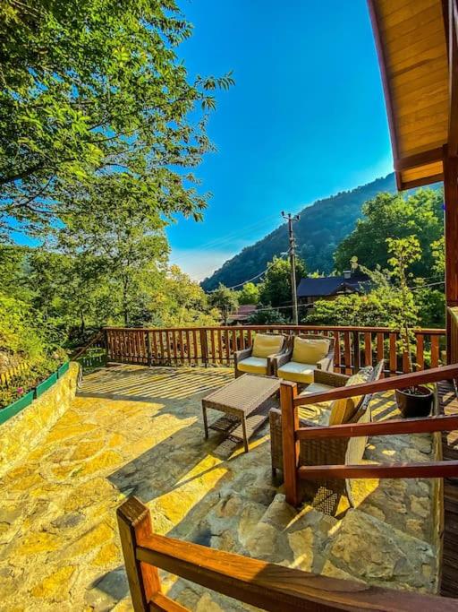 Orman İçinde Mavi Ladin Ağaç Ev - Housity