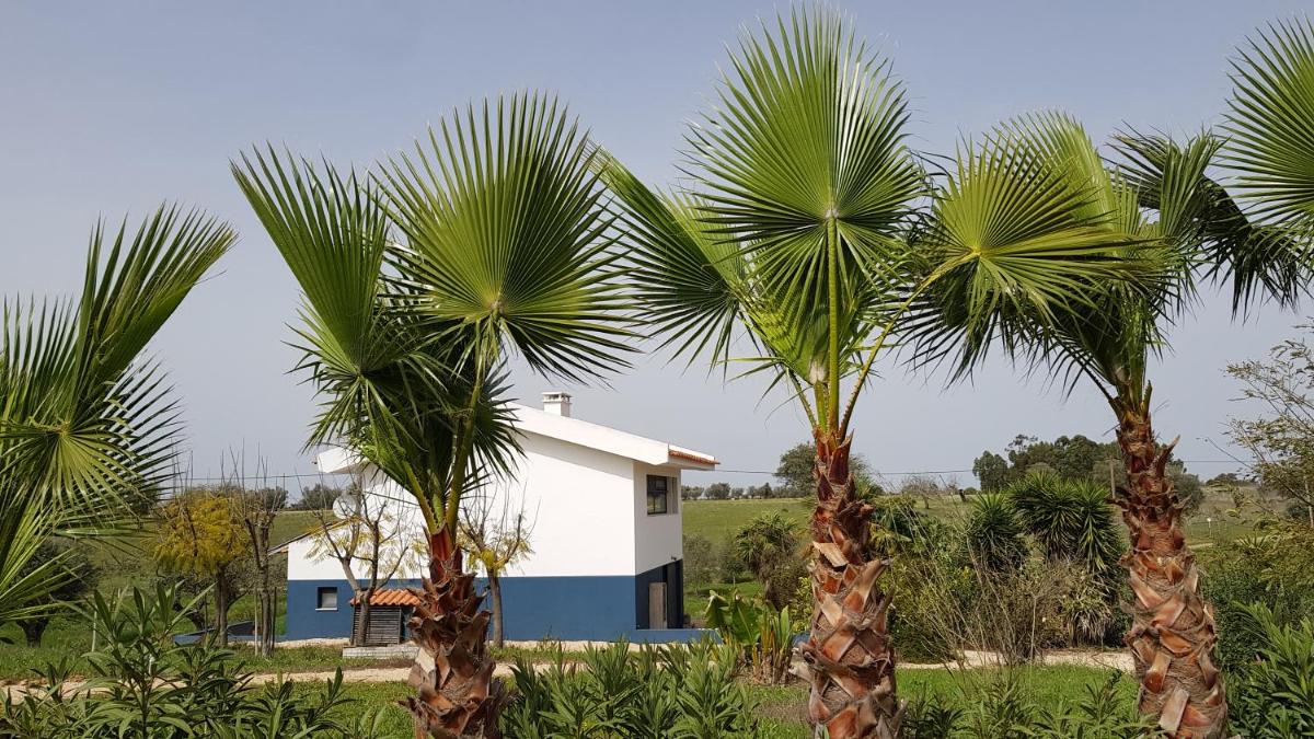 Trendy casa de Ferias - Housity