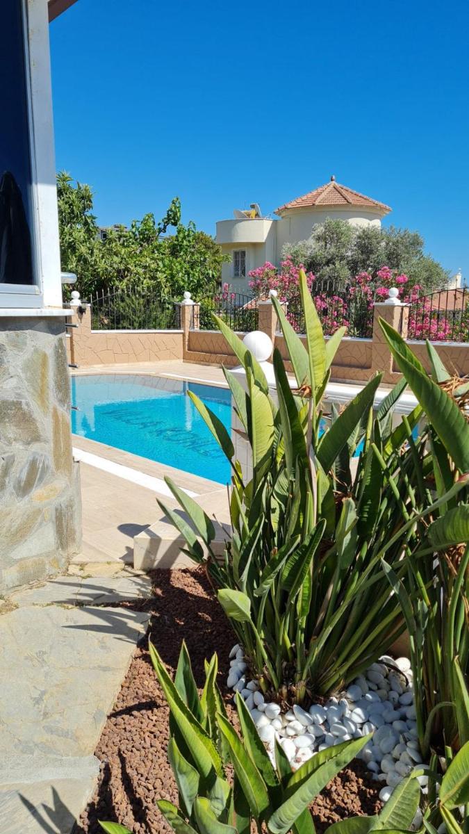 Camelia Villa - Housity