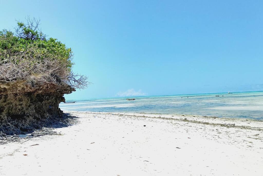 Jambo Jambiani Beach Villa, Beautiful private villa at 2 minutes from the Beach - Housity