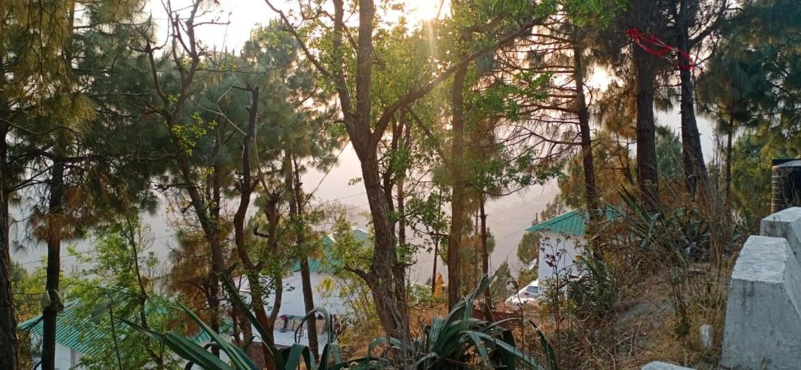Suitetrails - 2BHK ALPINE VILLA