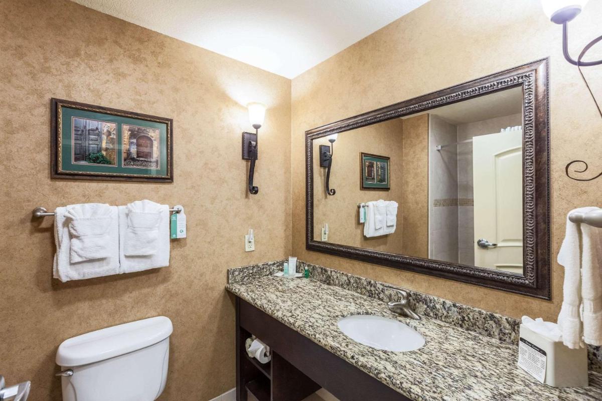 Comfort Suites Alamo-River walk - Housity