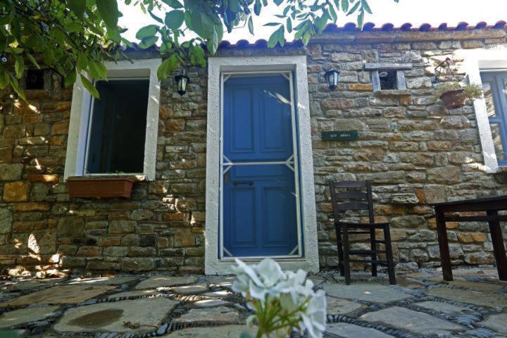 Mustafa'nın Fidan'ı - Housity