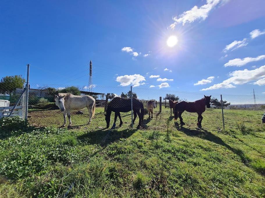 Taia Casa Rural 2 **. Alojamiento y actividades - Housity