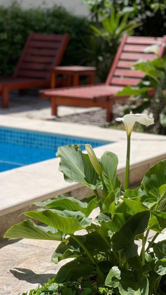 Apartments Mrdak - Housity