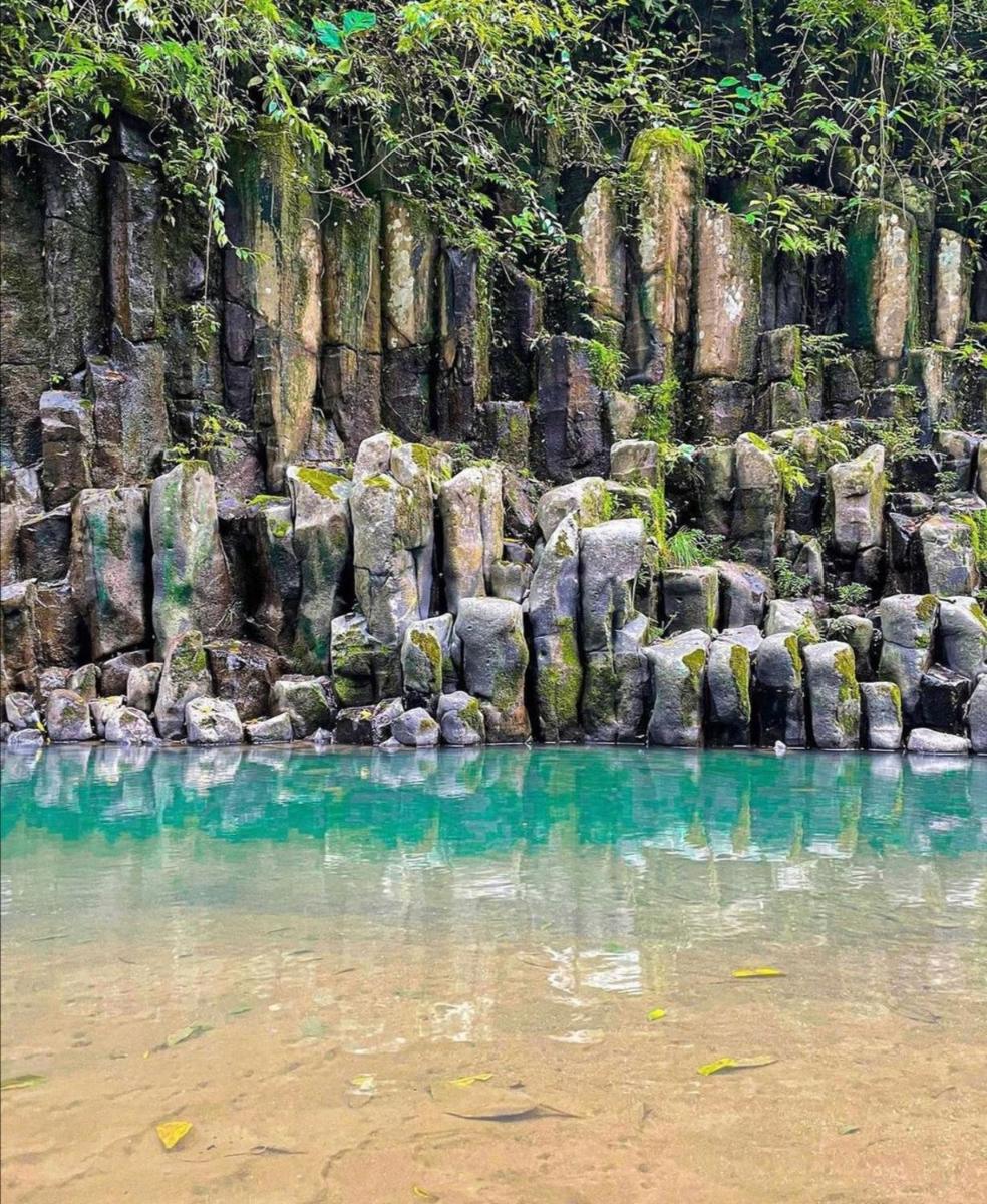 Cozy Guesthouse - Housity