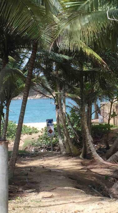 Casita 2 at Flambohío Beach Camp - Housity