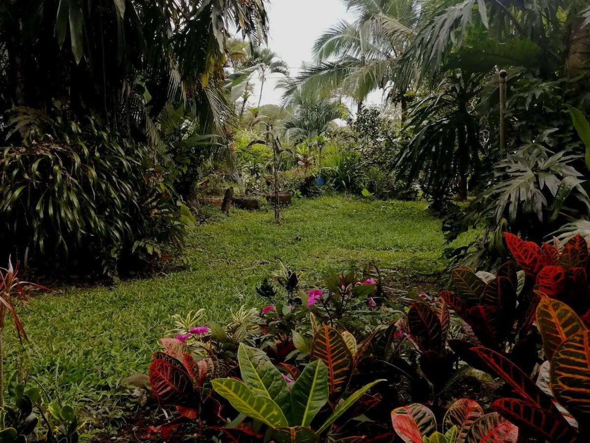 Cozy Guesthouse - Housity