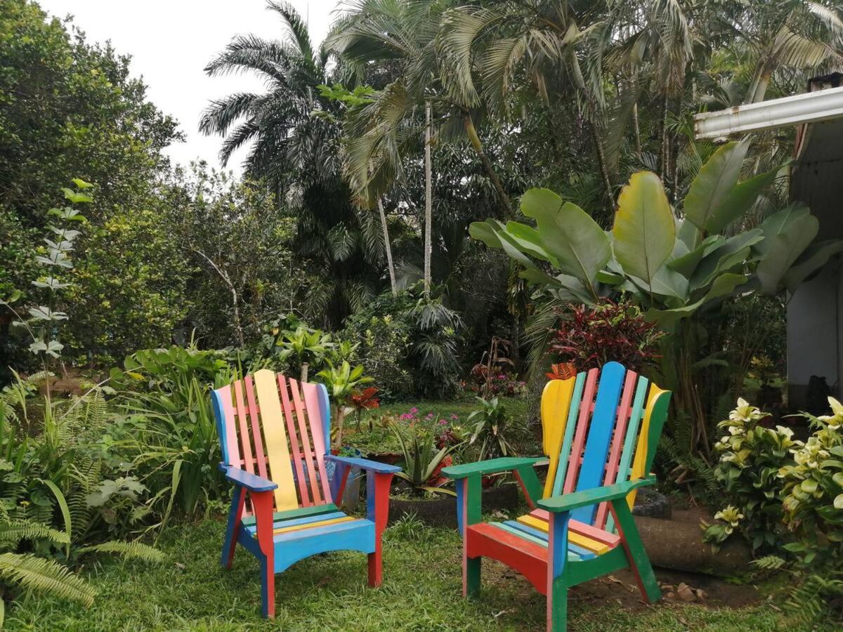 Cozy Guesthouse - Housity