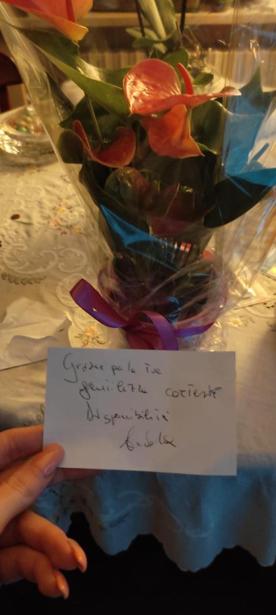 B&B Ammore - Housity