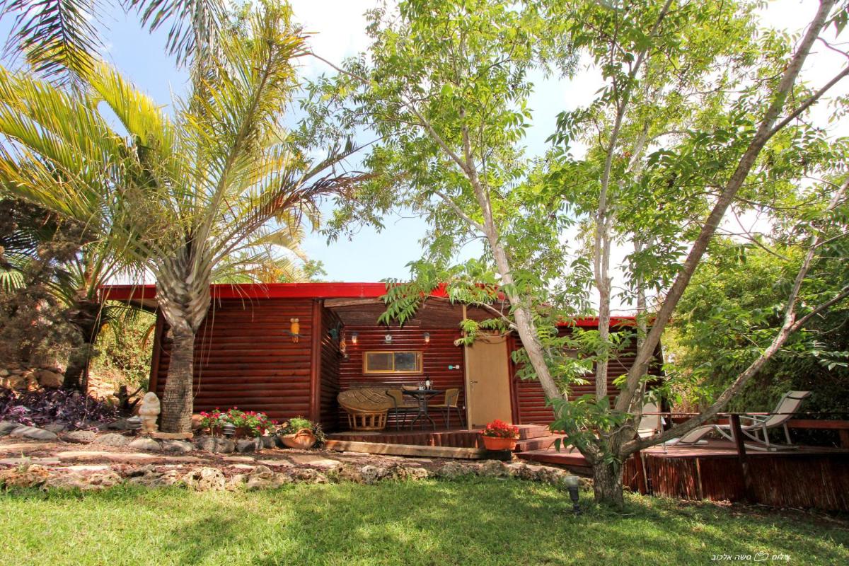 Under the Walnut Tree Shade Lodge - Housity