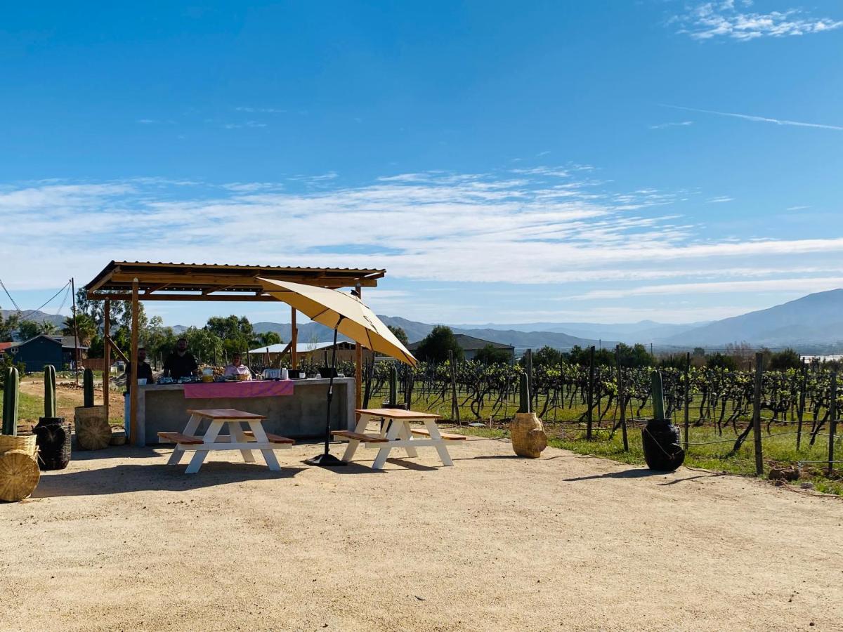 The Pangea Valle de Guadalupe - Housity