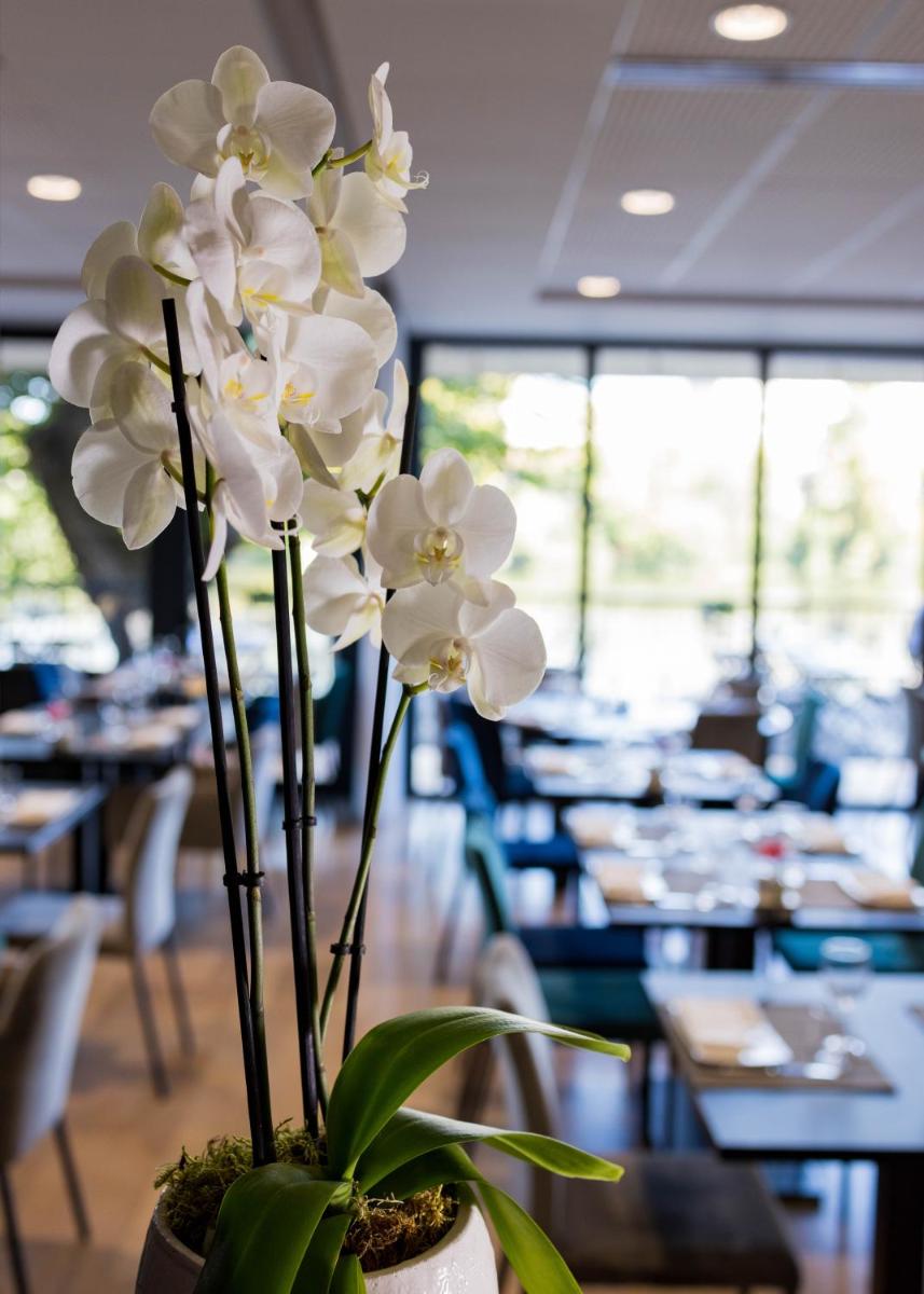 La Chartreuse Logis Hotel Restaurant - Housity