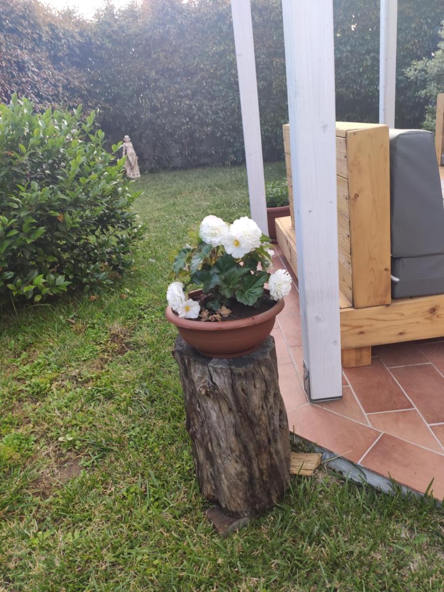 Appartamento relax con giardino - Housity