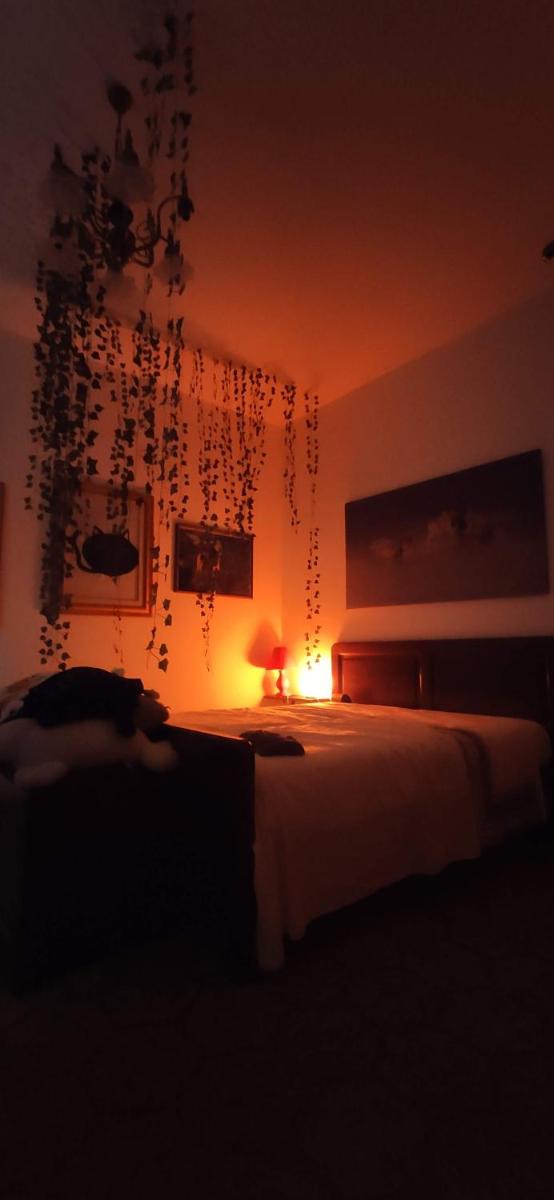 Appartamento relax con giardino - Housity