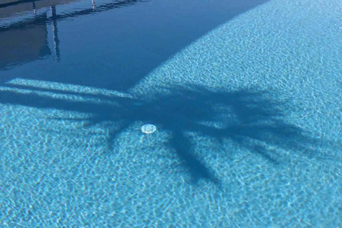 Piscine de l'établissement Best Western Premier Hôtel du Vieux-Port ou située à proximité