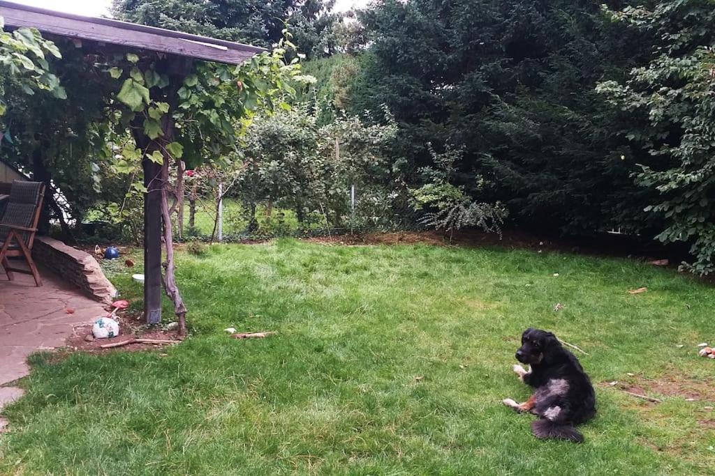 2-Zimmer DG-Apartment mit eigener Sauna - Housity