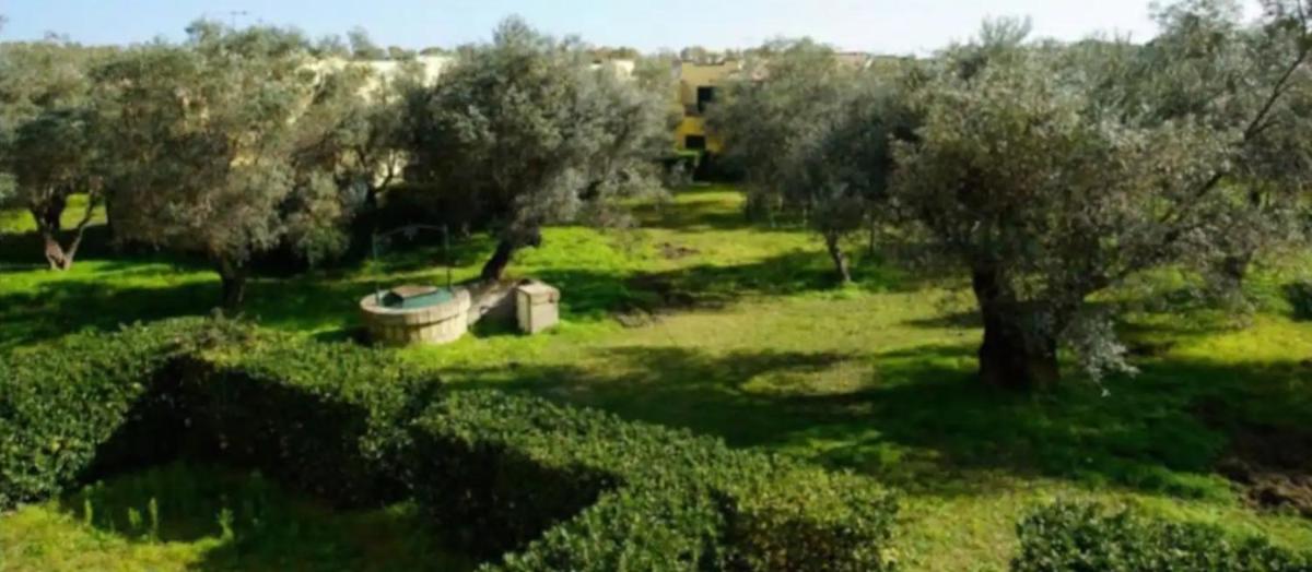 Tra Ulivi e Mare Villaggio Sant'Andrea - Housity
