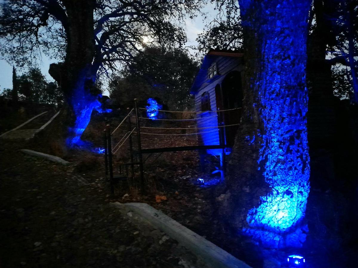 La cabaña de Lola - Housity