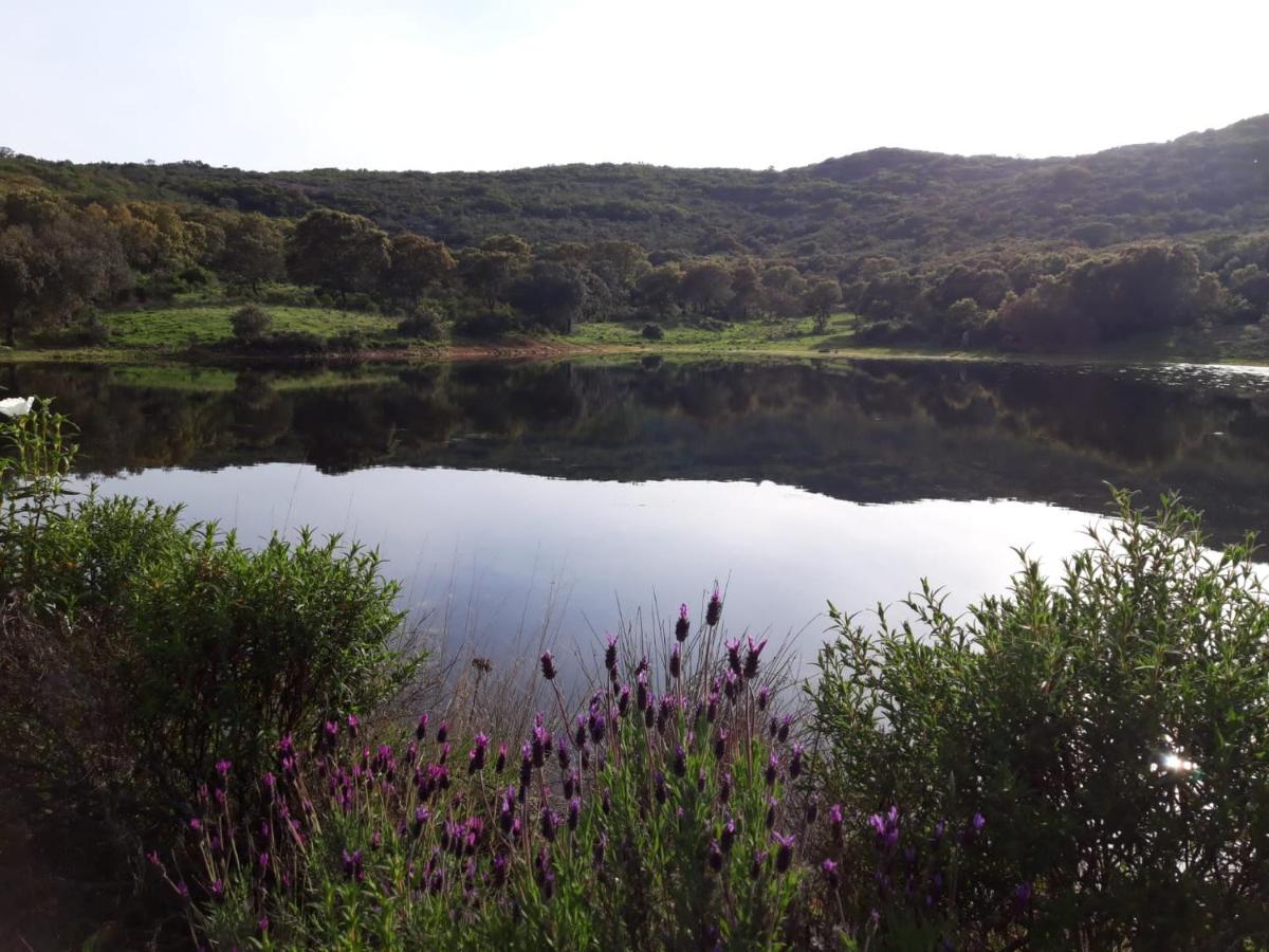 Las Chorreras del Orejón 1 - Housity