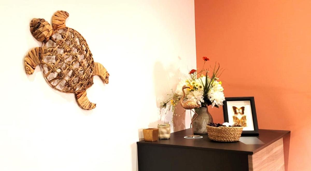 studio Orange - Parc Astérix - Mer de Sable - Villepinte - Aéroport CDG - Housity