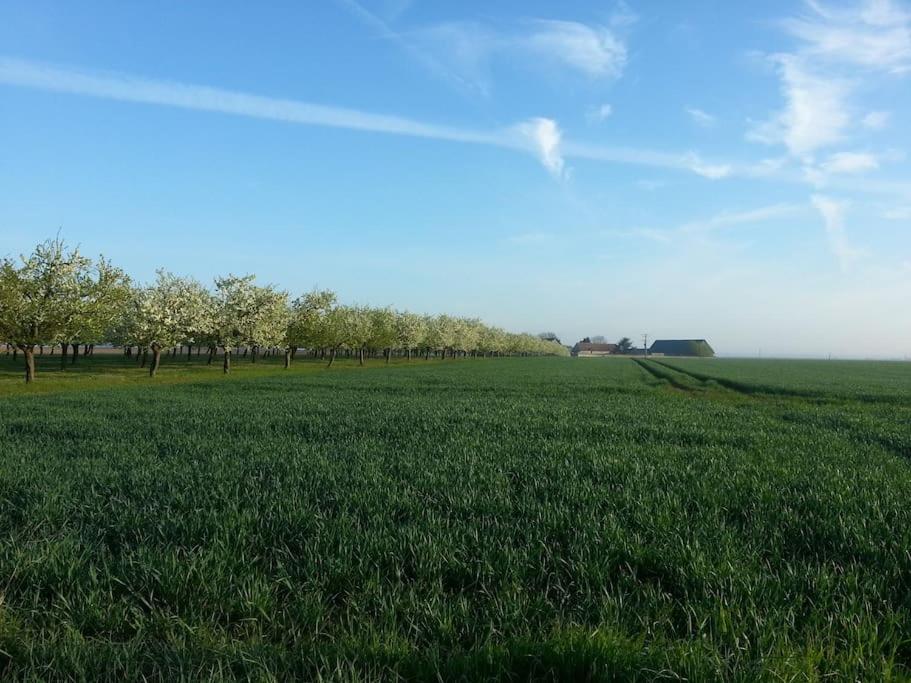 Gîte Les Mirabelles - Housity